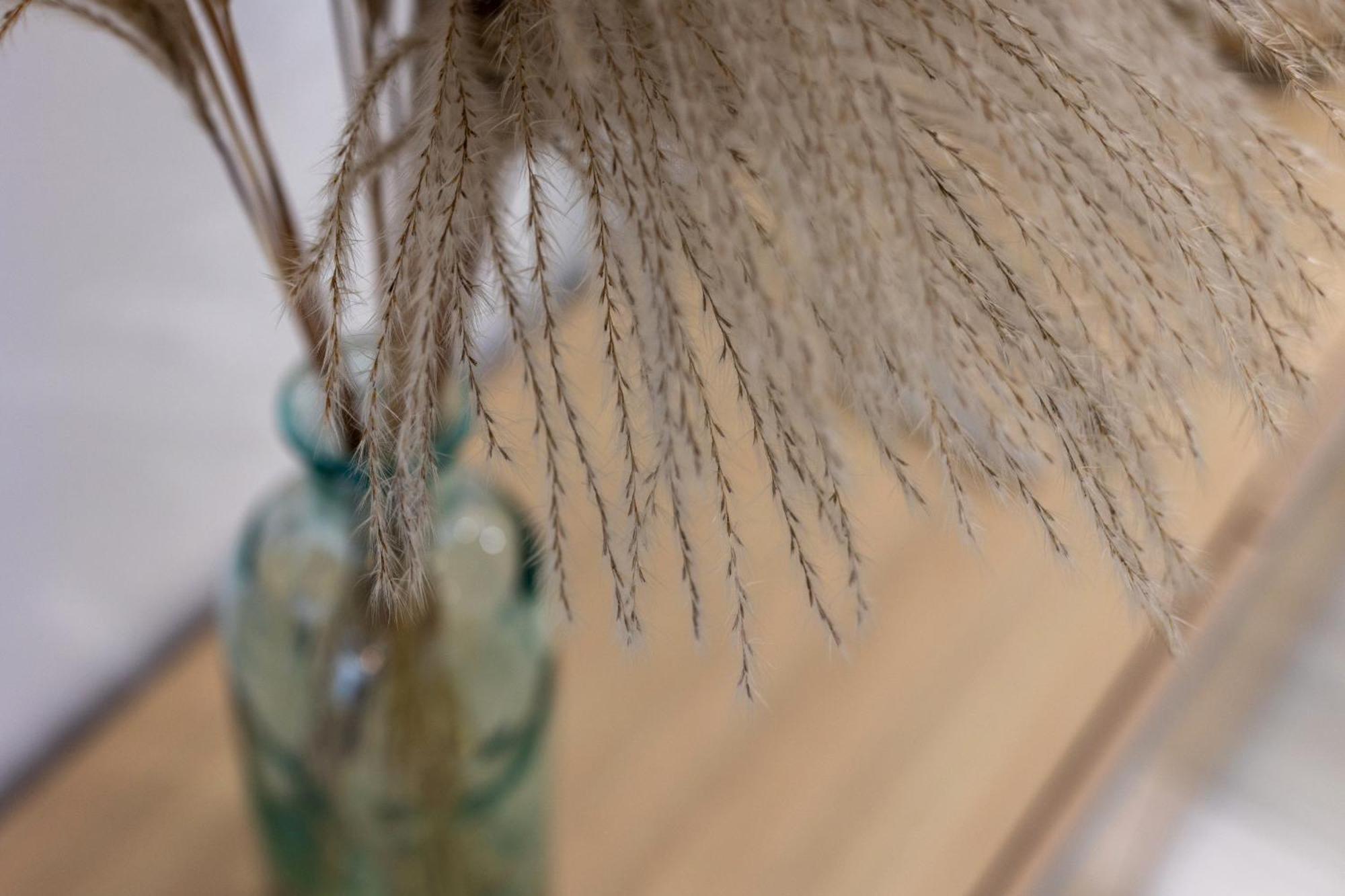 3 bedroom Elegant&Cozy City Centre Granada Buitenkant foto